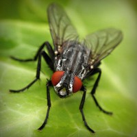 /album/pensamiento-cientifico-en-la-inf/photolia-a01-jpg/