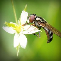 /album/pensamiento-cientifico-en-la-inf/photolia-a02-jpg/