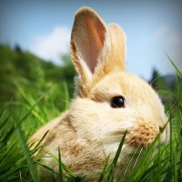 /album/pensamiento-cientifico-en-la-inf/photolia-a03-jpg/