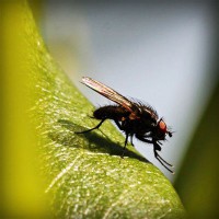 /album/pensamiento-cientifico-en-la-inf/photolia-a04-jpg/