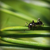 /album/pensamiento-cientifico-en-la-inf/photolia-a05-jpg/