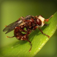 /album/pensamiento-cientifico-en-la-inf/photolia-a06-jpg/