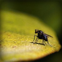 /album/pensamiento-cientifico-en-la-inf/photolia-a07-jpg/