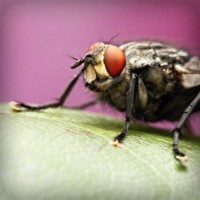 /album/pensamiento-cientifico-en-la-inf/photolia-a08-jpg/